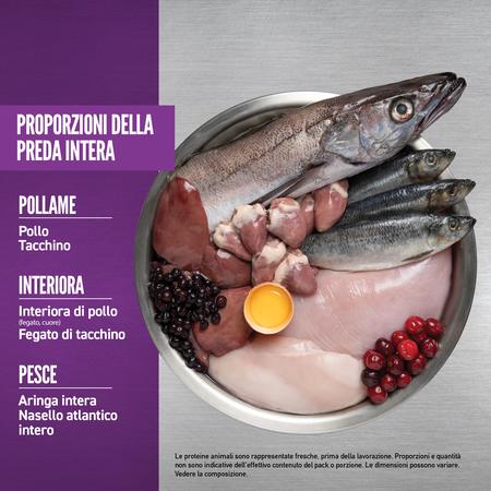 null - Product image 6.0